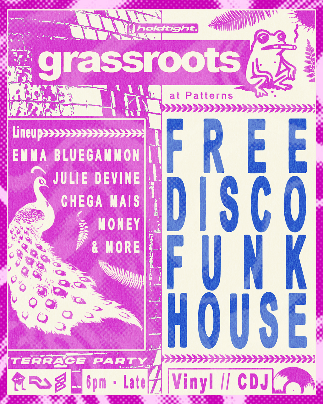 GRASSROOTS 🐸 FREE First Fridays - Disco, Funk & House - 07/08/26